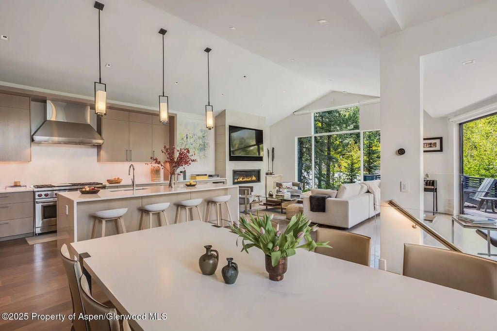 10 of 41 - 100 Park Avenue, Aspen, CO