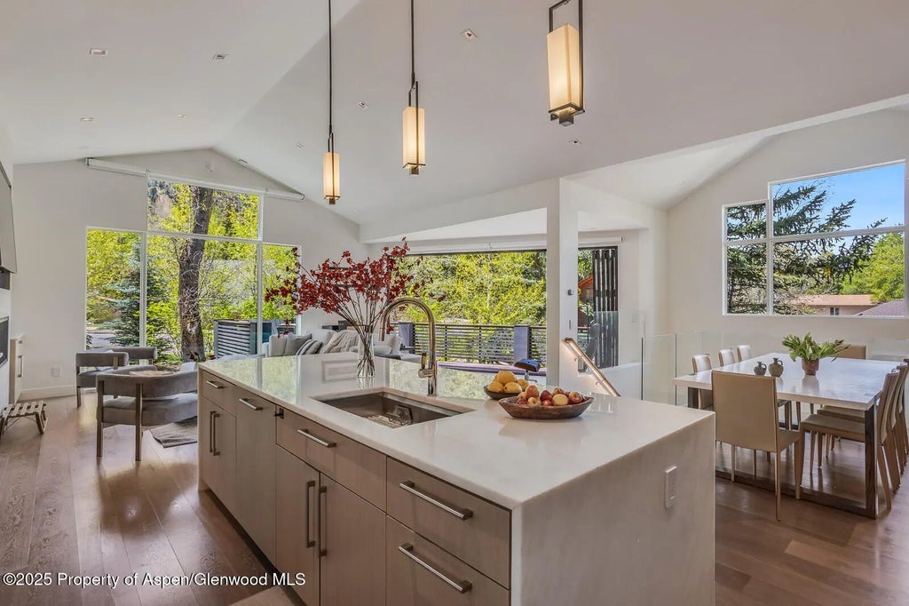 11 of 41 - 100 Park Avenue, Aspen, CO