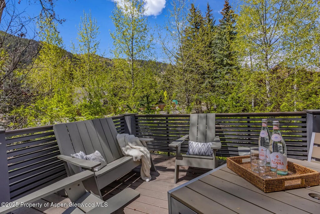 12 of 41 - 100 Park Avenue, Aspen, CO