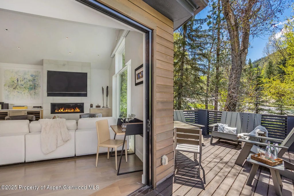 13 of 41 - 100 Park Avenue, Aspen, CO