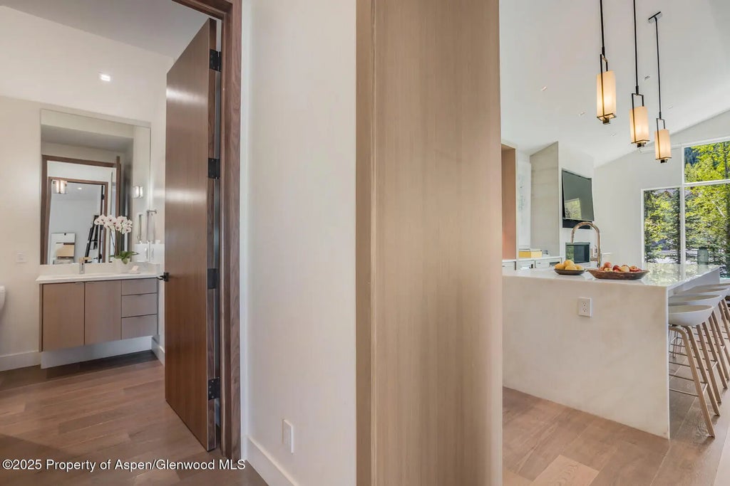 20 of 41 - 100 Park Avenue, Aspen, CO
