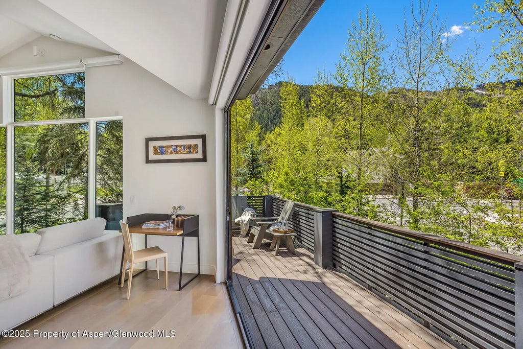 35 of 41 - 100 Park Avenue, Aspen, CO
