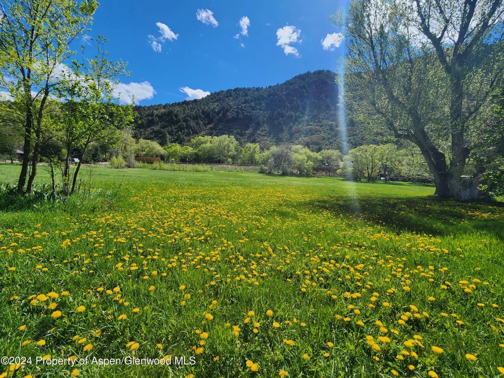 21 of 24 - 102 Co Rd 156, Glenwood Springs, CO