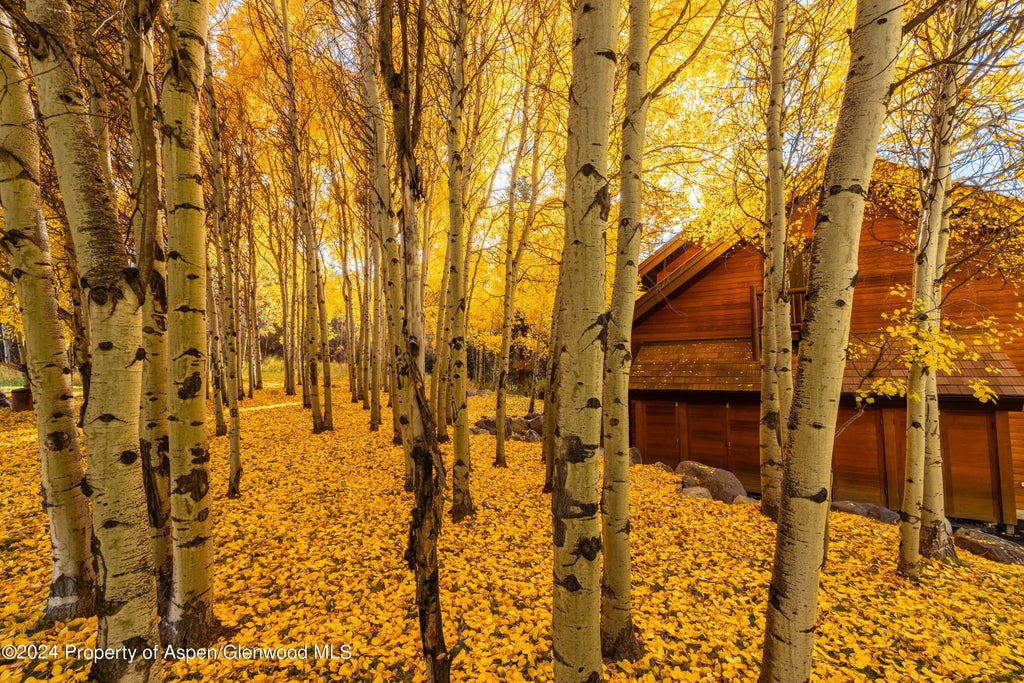 40 of 51 - 403 Whisperwind Way, Snowmass, CO