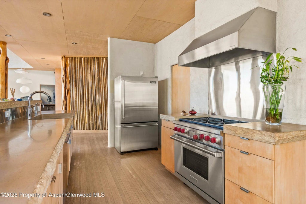 9 of 18 - 515 Park Circle, Aspen, CO