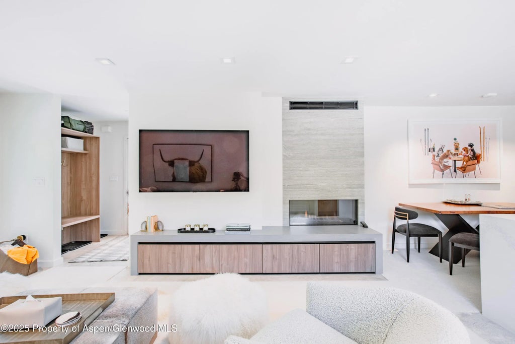 3 of 14 - 210 E Cooper Avenue 3g, Aspen, CO