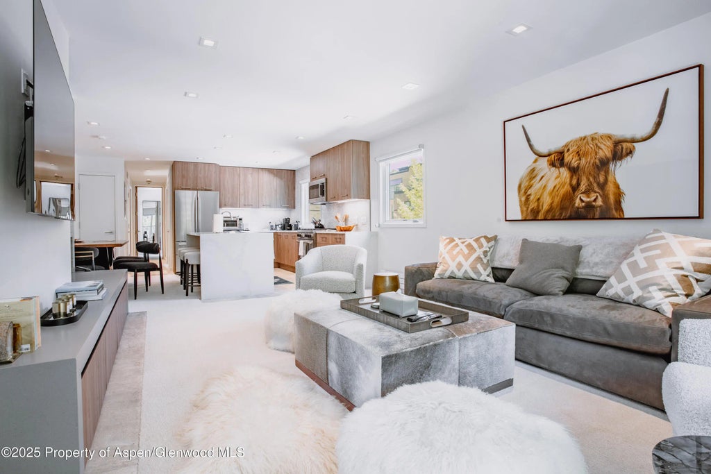 5 of 14 - 210 E Cooper Avenue 3g, Aspen, CO