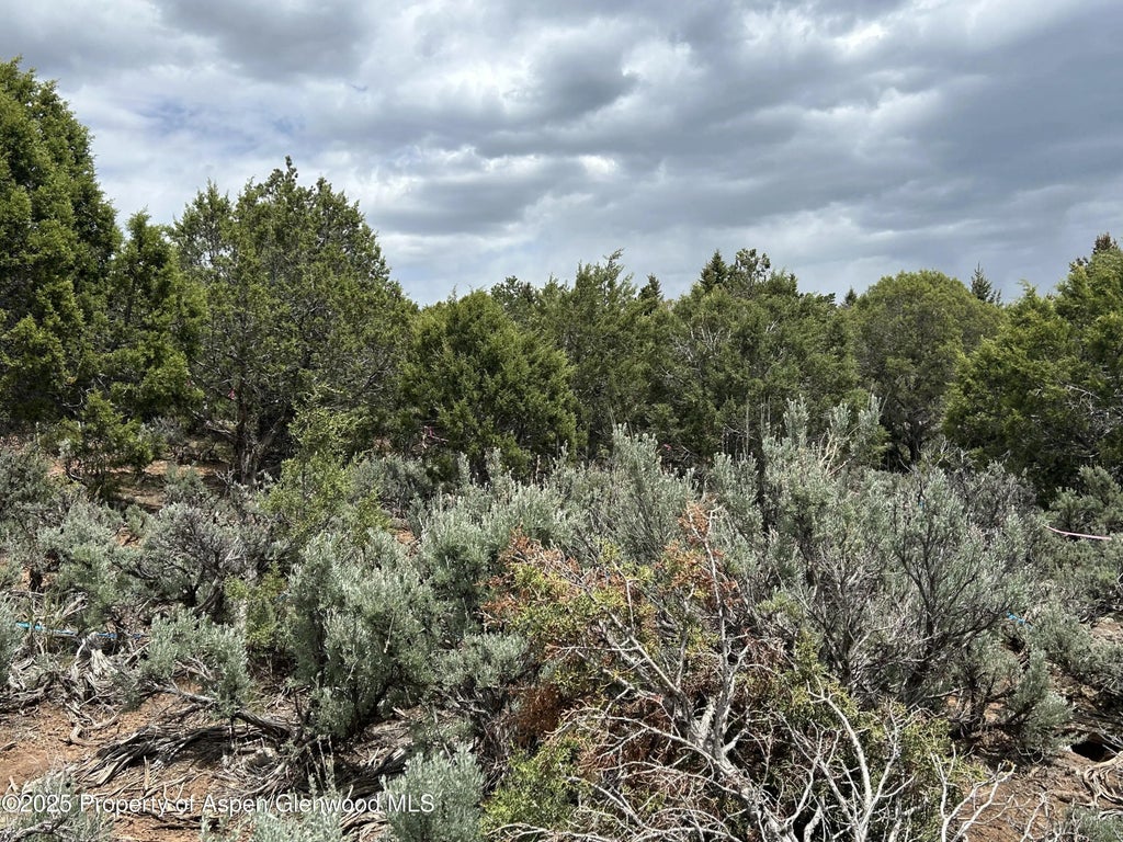 4 of 8 - 151 Monarch Road, Glenwood Springs, CO