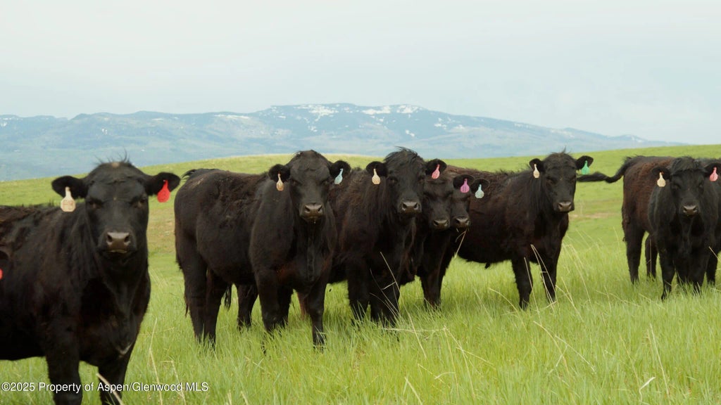 1 of 47 - 14651 County Road 3, Craig, CO