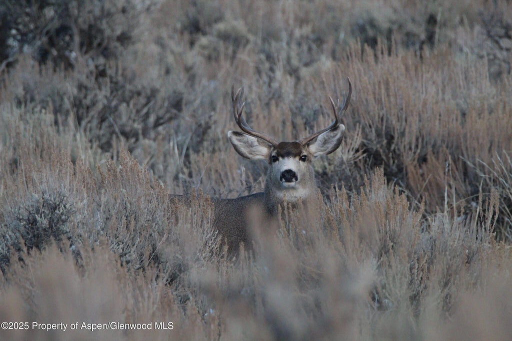 10 of 47 - 14651 County Road 3, Craig, CO