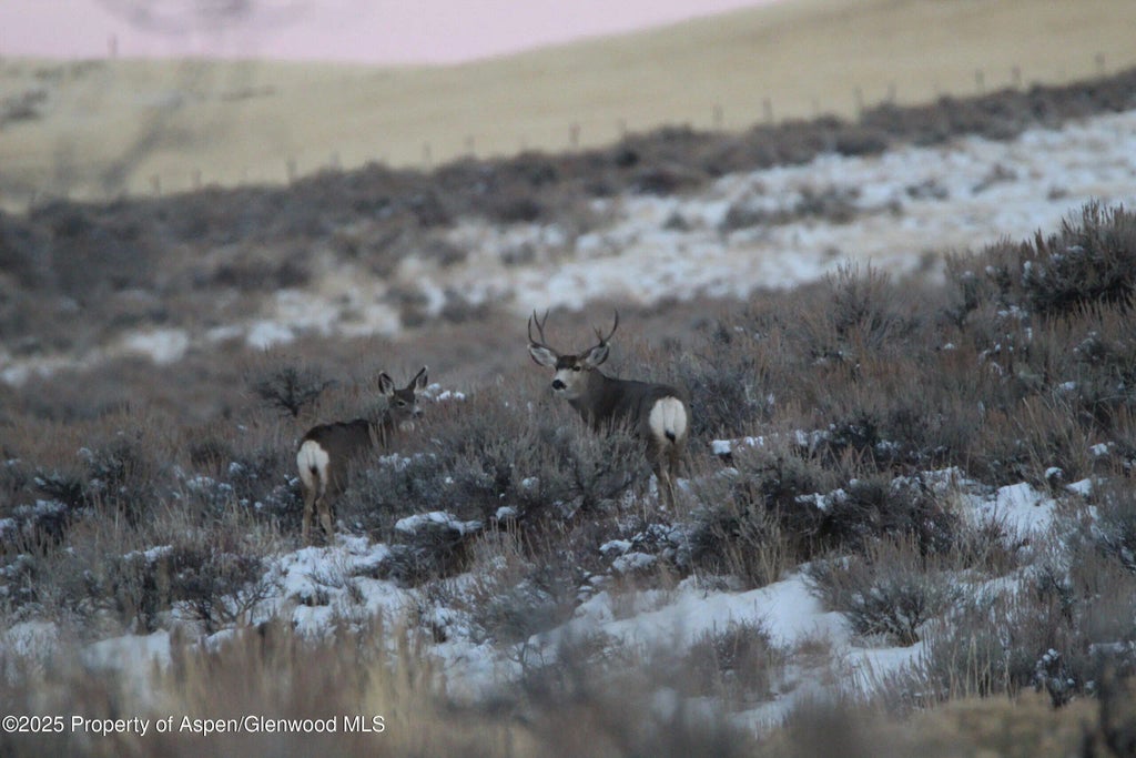 14 of 47 - 14651 County Road 3, Craig, CO