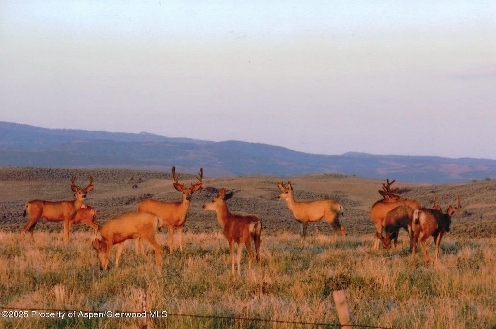 15 of 47 - 14651 County Road 3, Craig, CO