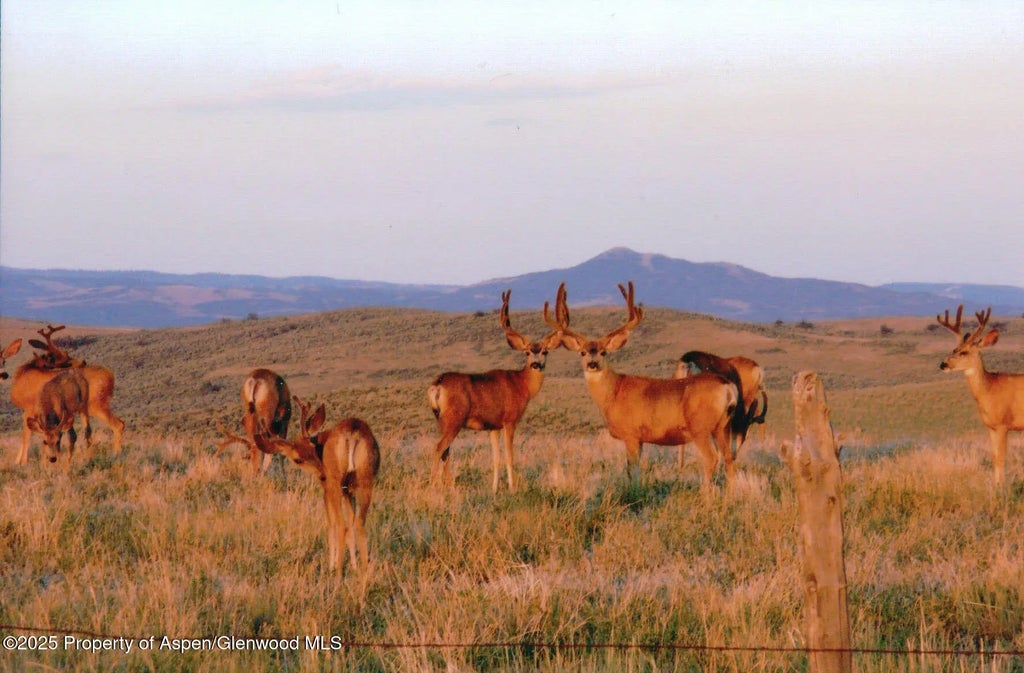 4 of 47 - 14651 County Road 3, Craig, CO
