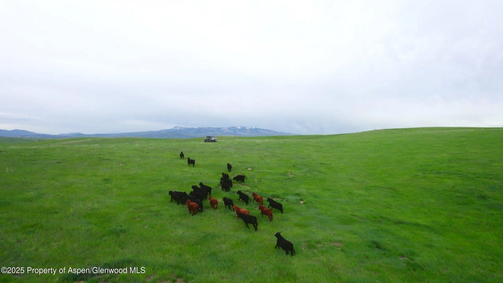 7 of 47 - 14651 County Road 3, Craig, CO