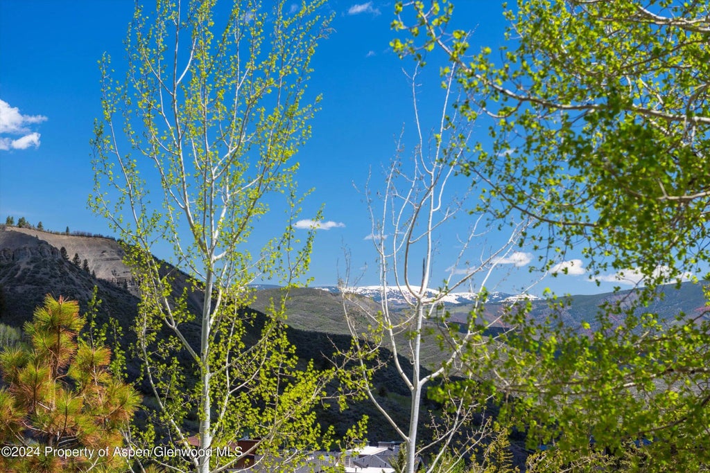 22 of 25 - 425 Wood Road 43, Snowmass Village, CO