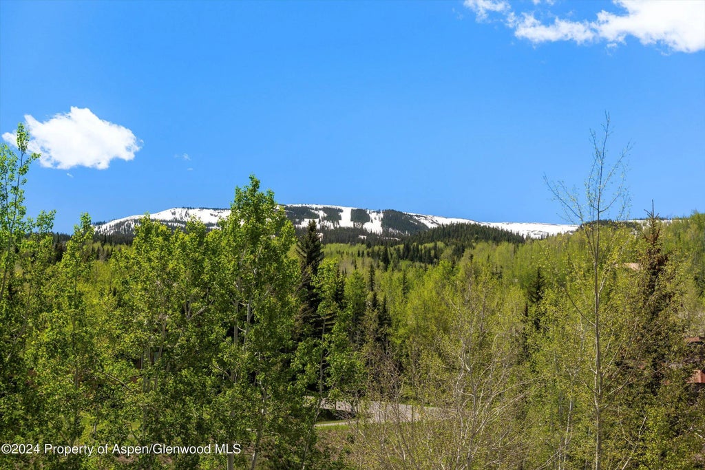 23 of 25 - 425 Wood Road 43, Snowmass Village, CO