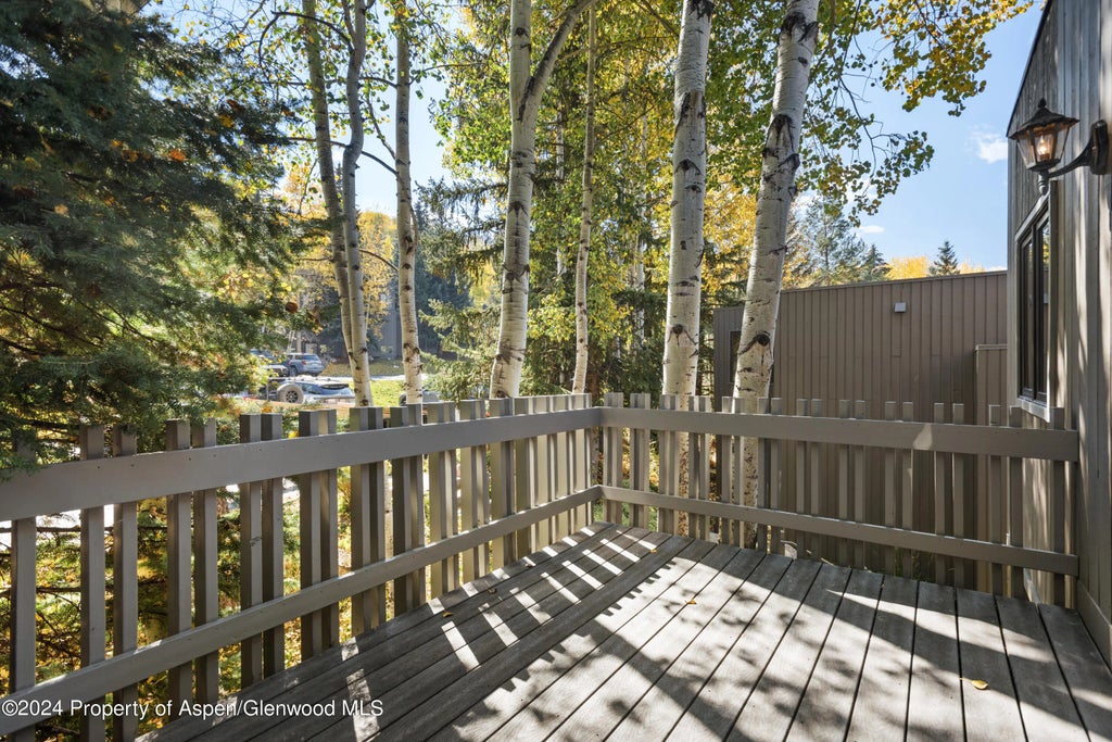 30 of 32 - 211 Meadow Ranch Drive D5a, Snowmass Village, CO
