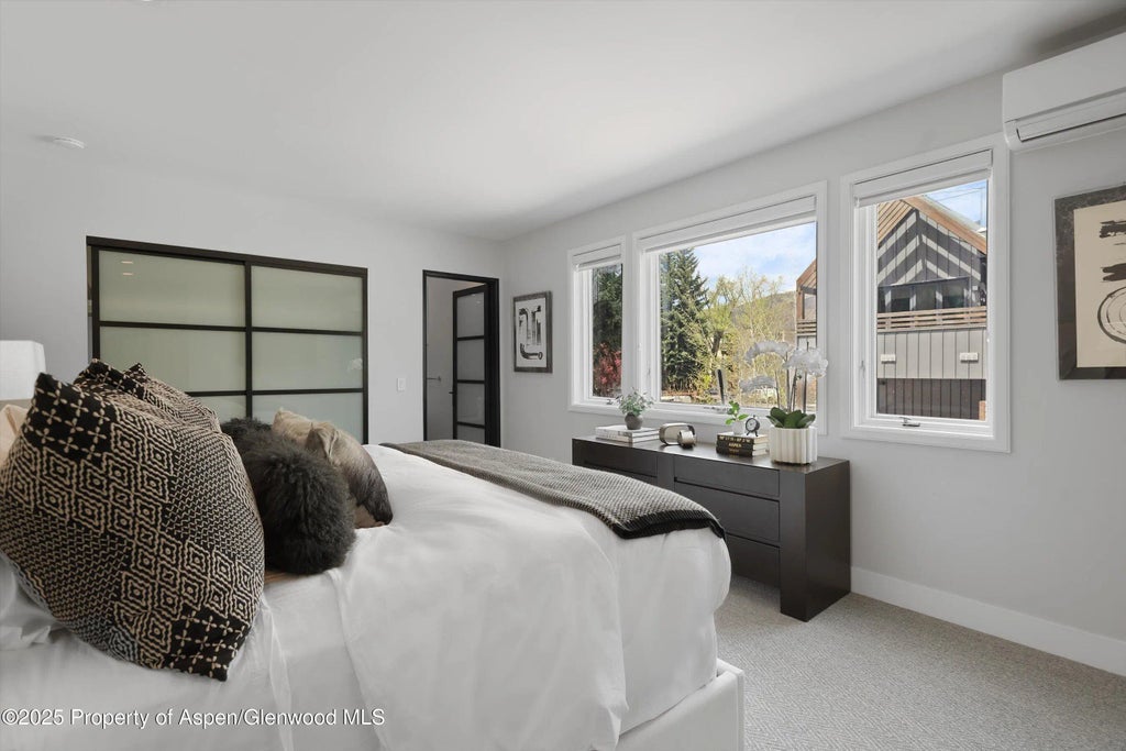 20 of 37 - 120 S Spring Street 1, Aspen, CO