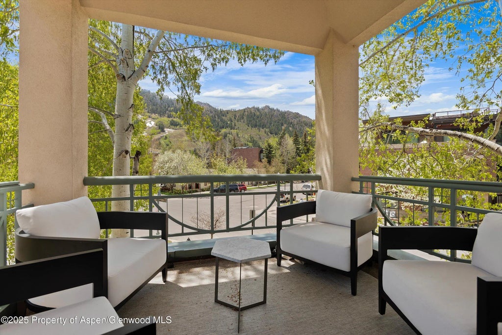5 of 37 - 120 S Spring Street 1, Aspen, CO