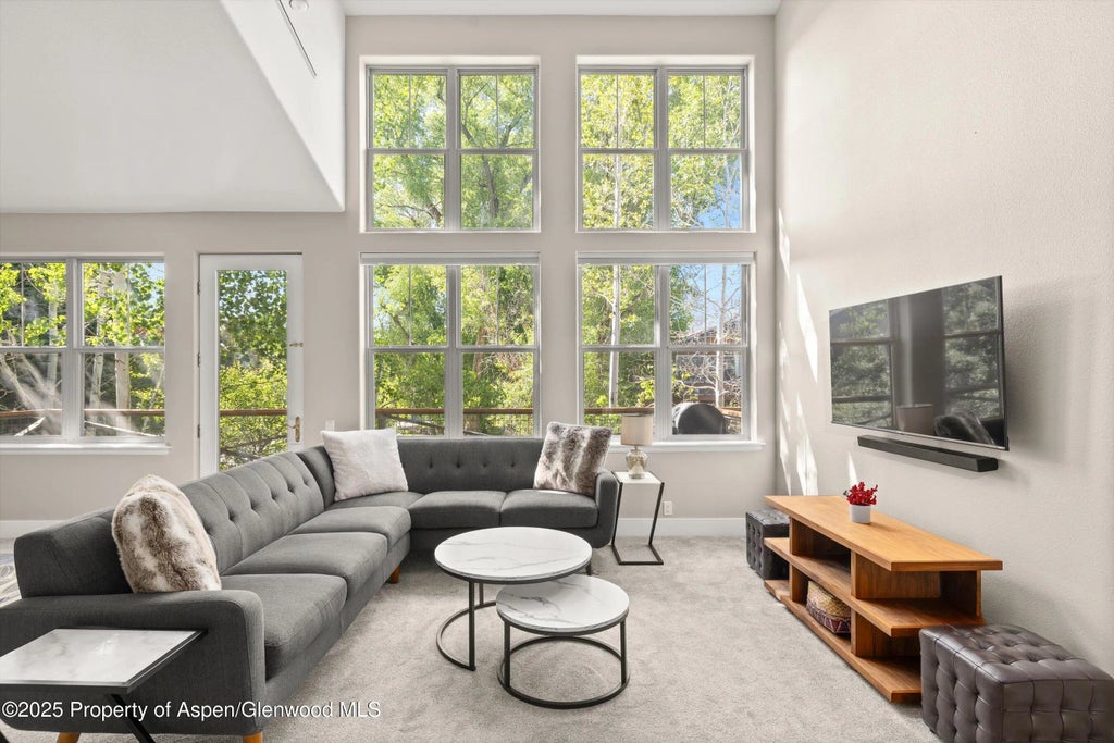 2 of 17 - 612 Evans Court, Basalt, CO