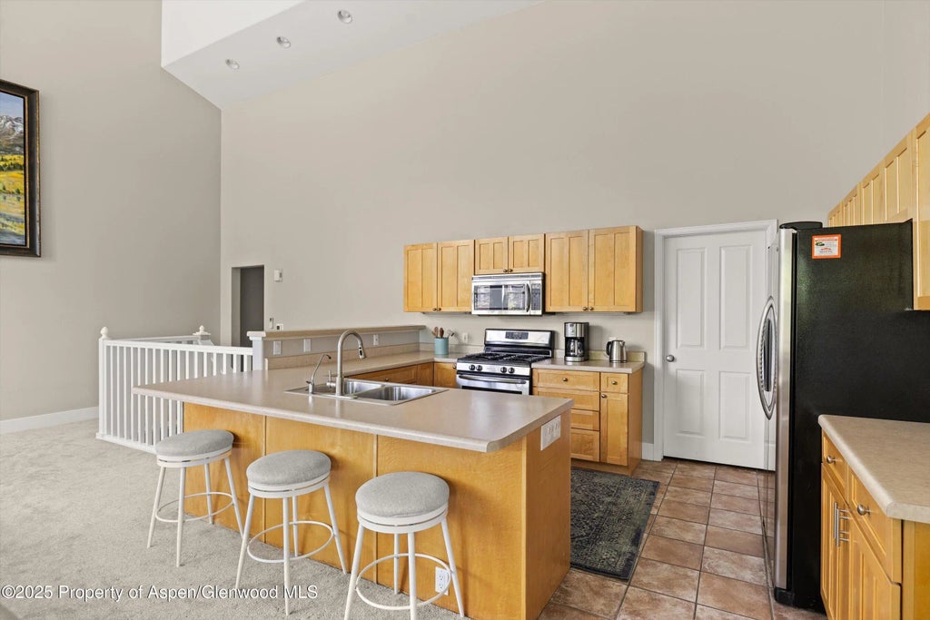 4 of 17 - 612 Evans Court, Basalt, CO