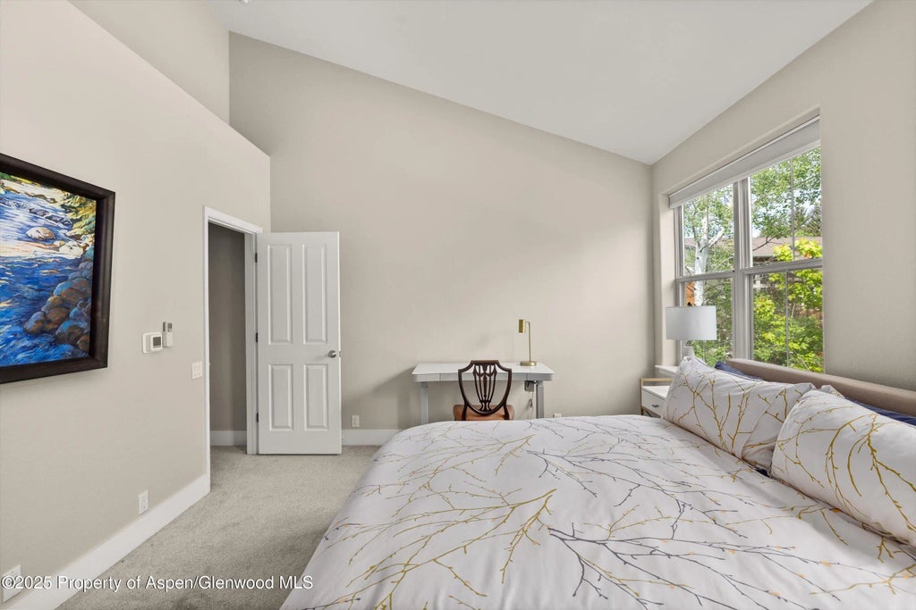 7 of 17 - 612 Evans Court, Basalt, CO