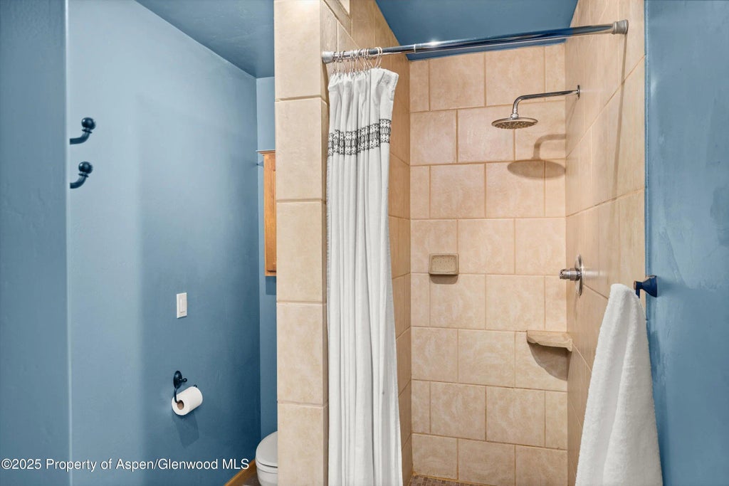 33 of 42 - 1116 Walz Avenue, Glenwood Springs, CO