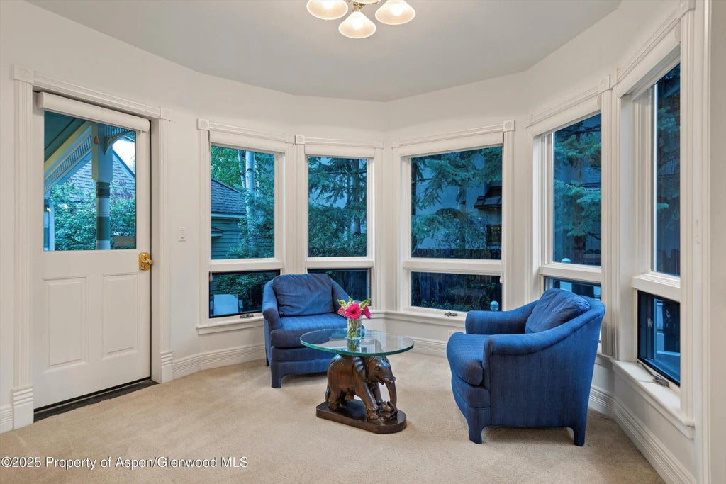 17 of 56 - 716 & 718 W Hallam Street, Aspen, CO