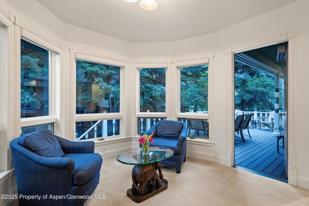 18 of 56 - 716 & 718 W Hallam Street, Aspen, CO