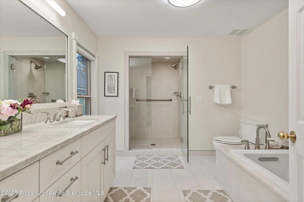 24 of 56 - 716 & 718 W Hallam Street, Aspen, CO