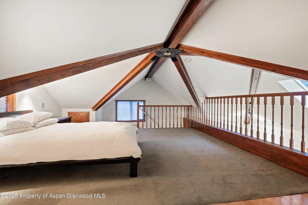 49 of 56 - 716 & 718 W Hallam Street, Aspen, CO
