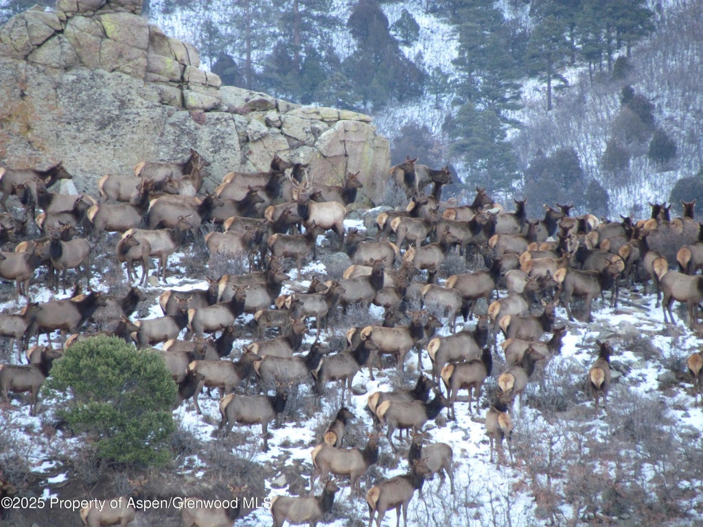 17 of 47 - 741 Big Wall Lane, La Veta, CO