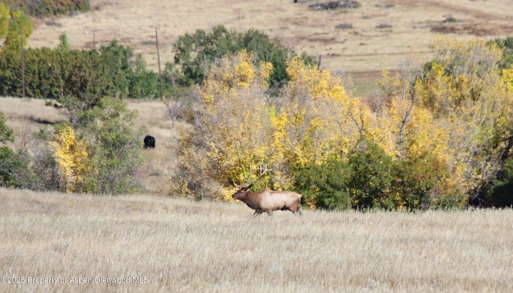 18 of 47 - 741 Big Wall Lane, La Veta, CO
