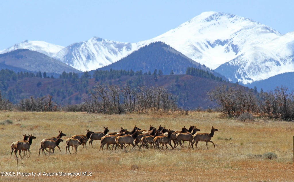 19 of 47 - 741 Big Wall Lane, La Veta, CO