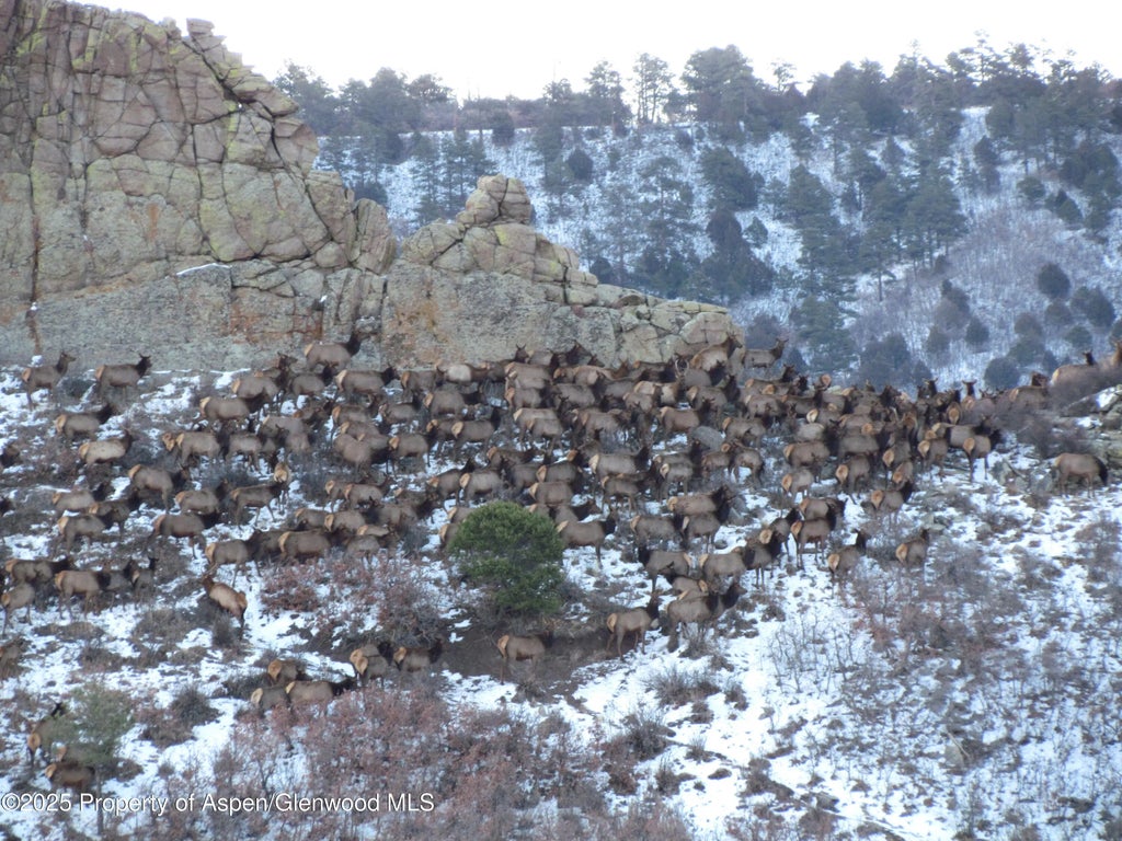 21 of 47 - 741 Big Wall Lane, La Veta, CO