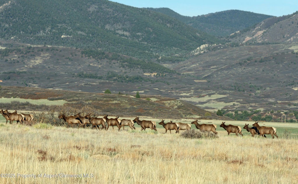 22 of 47 - 741 Big Wall Lane, La Veta, CO