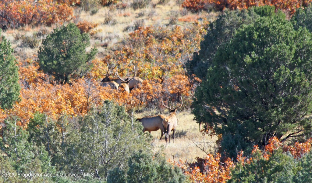 24 of 47 - 741 Big Wall Lane, La Veta, CO