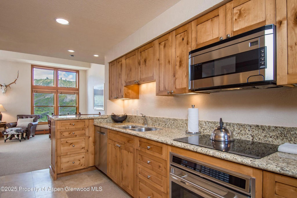 15 of 39 - 425 Wood Road 48, Snowmass Village, CO