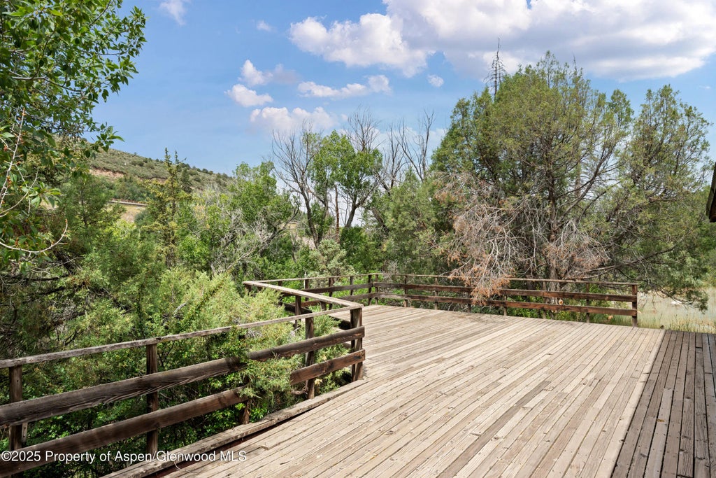 11 of 29 - 176 Letey Lane, Woody Creek, CO