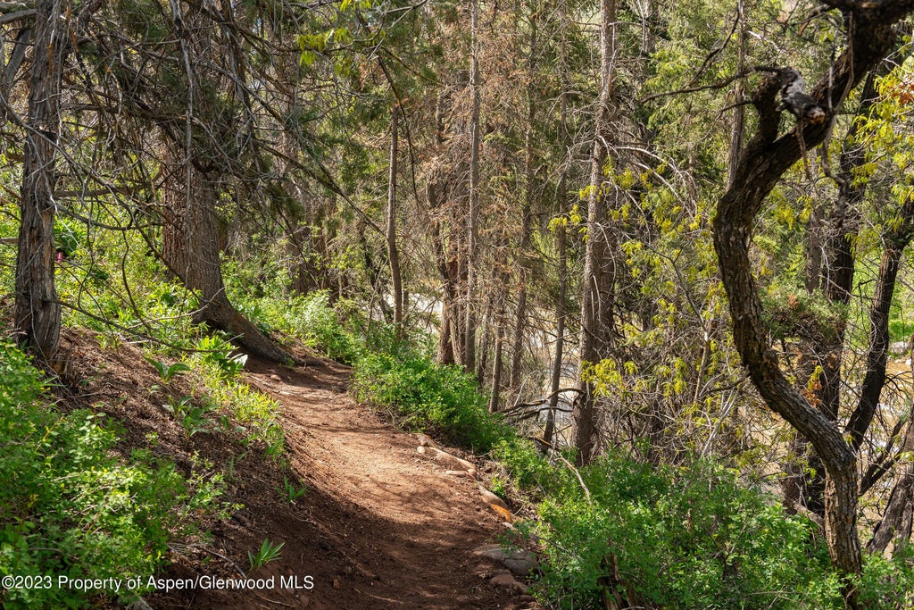 5 of 29 - 176 Letey Lane, Woody Creek, CO