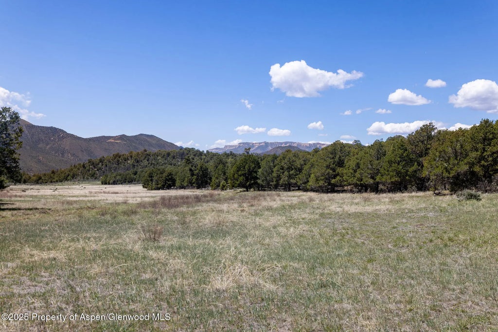 14 of 24 - Tbd Grass Valley Road, Silt, CO