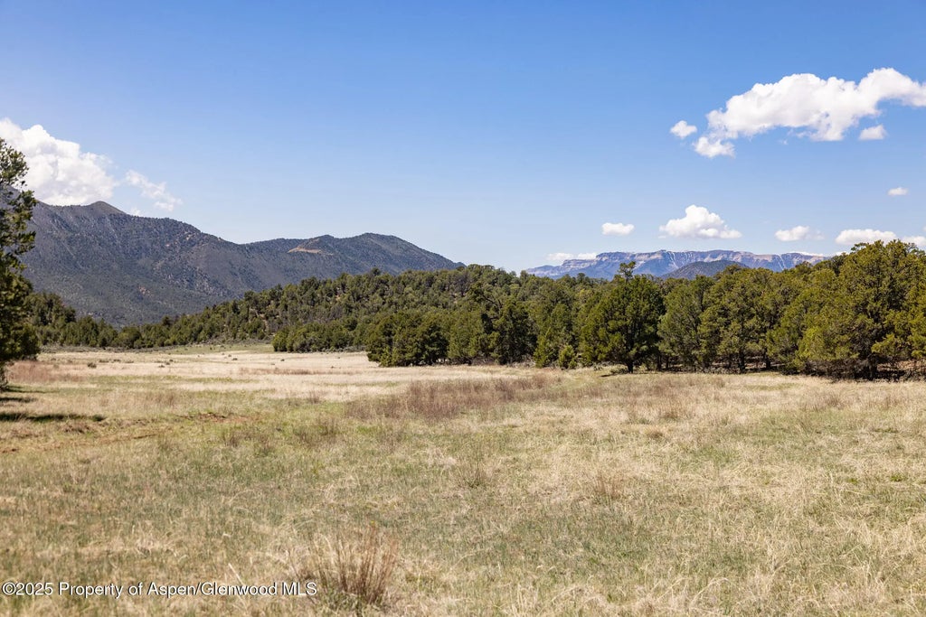 16 of 24 - Tbd Grass Valley Road, Silt, CO