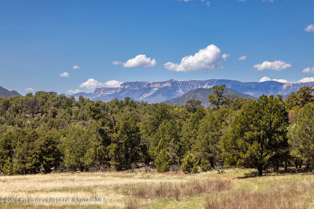 2 of 24 - Tbd Grass Valley Road, Silt, CO