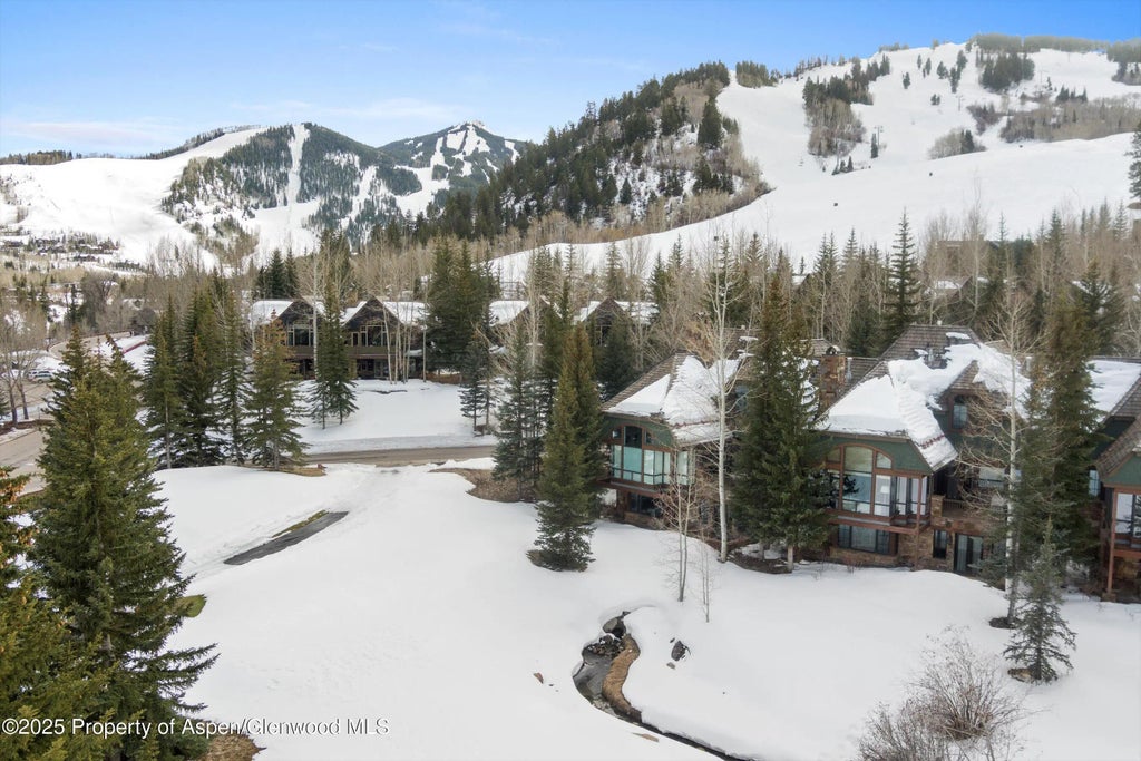 24 of 24 - 74 Pfister Drive 101, Aspen, CO
