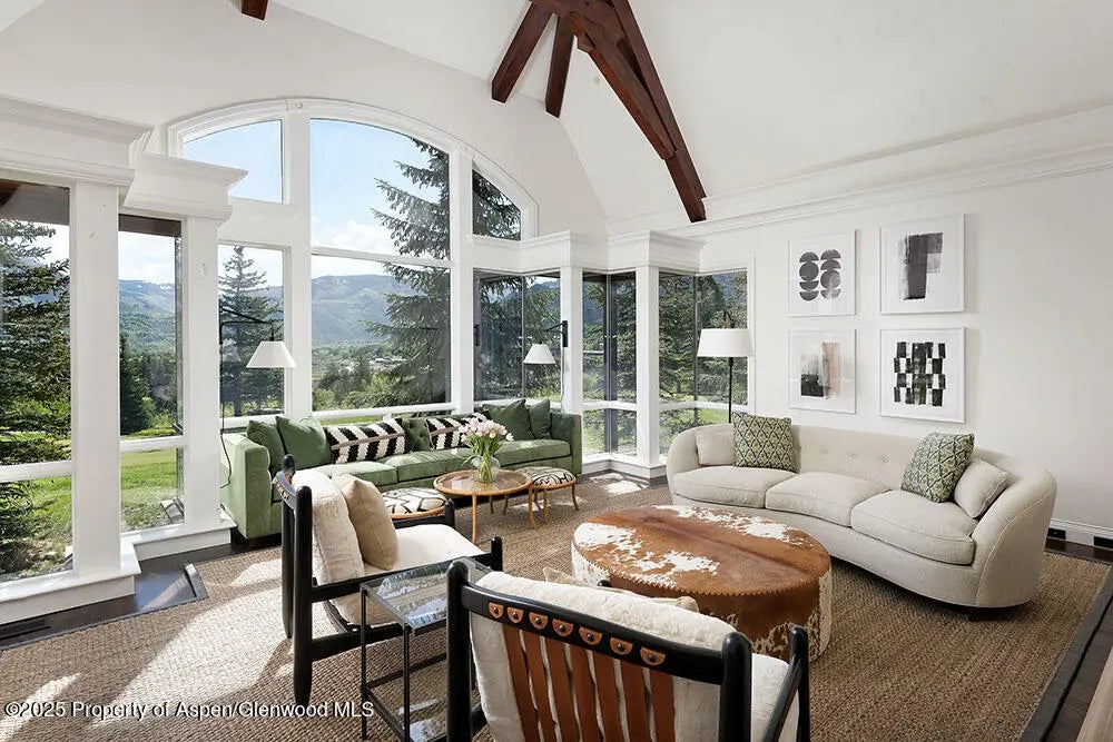 3 of 24 - 74 Pfister Drive 101, Aspen, CO