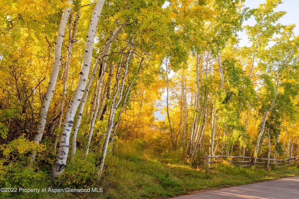 10 of 15 - 980 S Starwood Drive, Aspen, CO