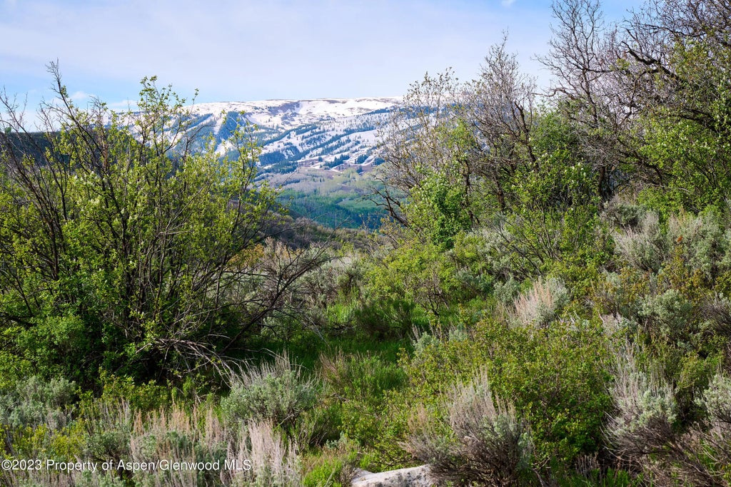 13 of 24 - 51 Shield O Road, Snowmass, CO