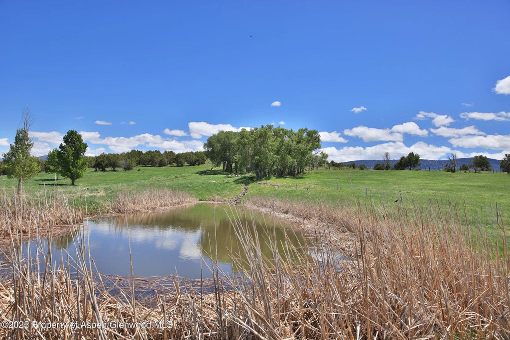 39 of 48 - 57191 Me Road, Collbran, CO