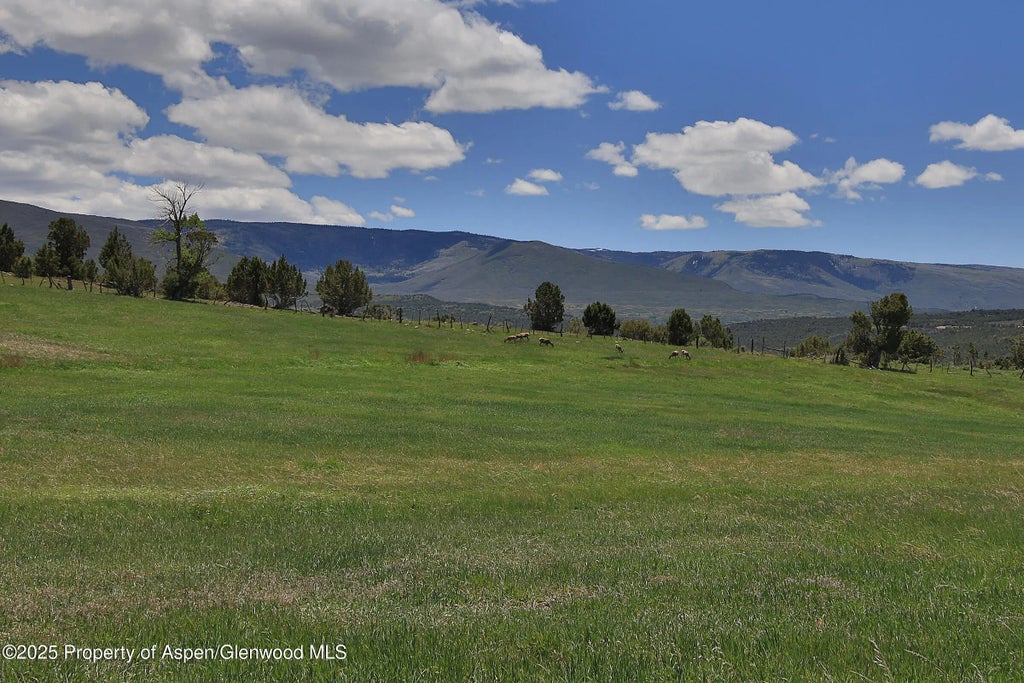 41 of 48 - 57191 Me Road, Collbran, CO