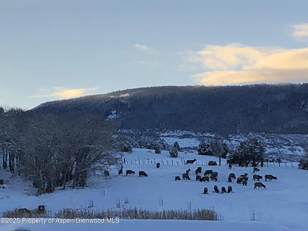 45 of 48 - 57191 Me Road, Collbran, CO